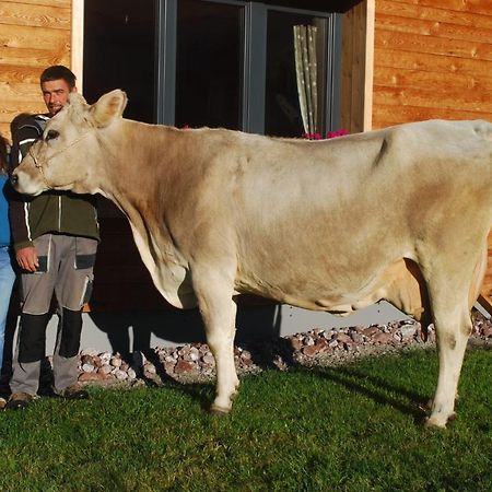 Appartamento Schmiedlarhof Au (Vorarlberg) Esterno foto