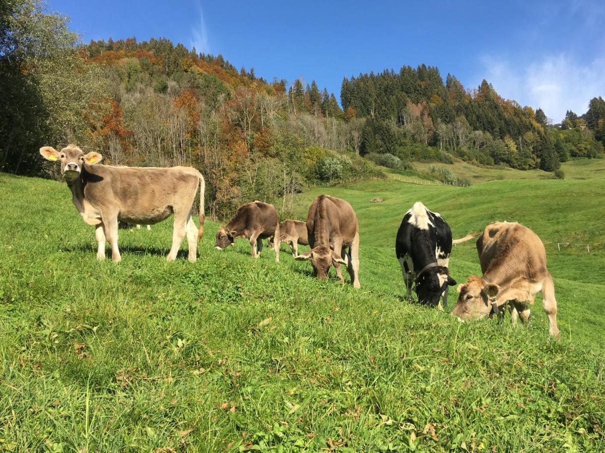 Appartamento Schmiedlarhof Au (Vorarlberg) Esterno foto